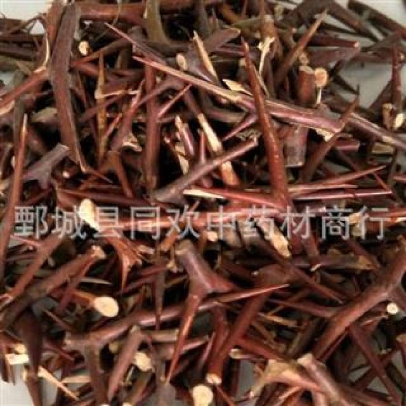 【皂角刺皂针纯针】@【同欢药材】中药材批发供应规格齐