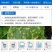 33.5%喹啉铜蔬菜辣椒果树细菌性角斑病枯萎病穿孔病霜霉