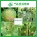 33.5%喹啉铜蔬菜辣椒果树细菌性角斑病枯萎病穿孔病霜霉