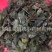 【羊油炒东北柔软淫羊藿】@【同欢药材】中药材批发供应