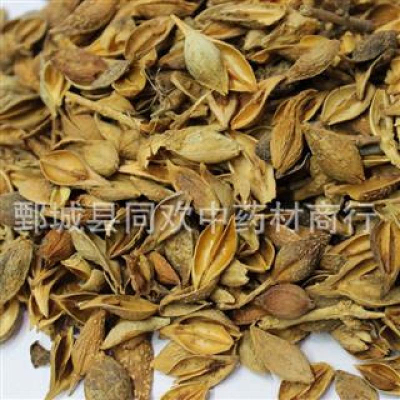 【黄连翘黄翘】@【同欢药材】中药材批发供应规格齐全