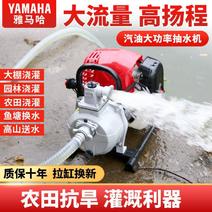 包邮雅马哈汽油水泵抽水机灌溉农用小型自吸泵高扬程大流量