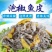 泡椒鱼皮150克夏季凉菜开袋即食零食凉拌菜下饭菜香辣鱼皮