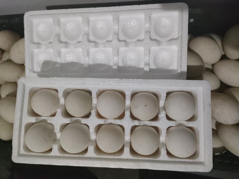 【荐】鹅蛋，雁鹅蛋，盒装鹅蛋，团购平台转供网红盒装雁鹅蛋