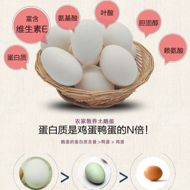 【荐】鹅蛋，雁鹅蛋，盒装鹅蛋，团购平台转供网红盒装雁鹅蛋