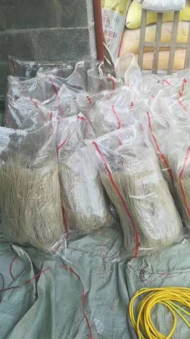 粉条