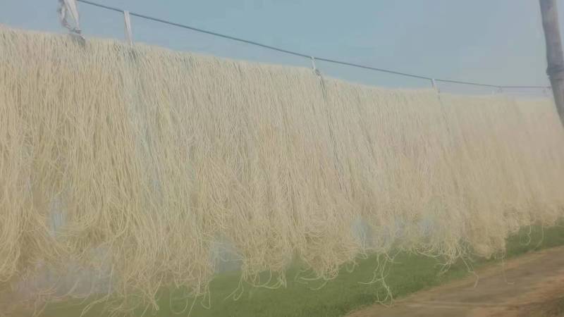 粉条