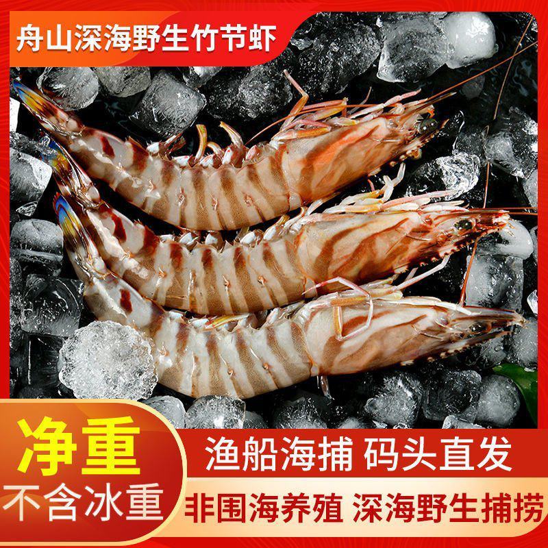 舟山竹节虾海虾新鲜九节虾斑节虾虾子大虾鲜活黑虎虾海鲜包邮