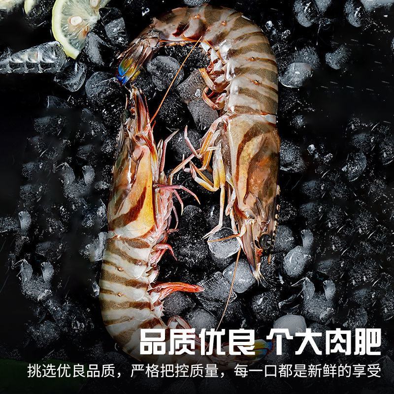 舟山竹节虾海虾新鲜九节虾斑节虾虾子大虾鲜活黑虎虾海鲜包邮