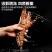 舟山竹节虾海虾新鲜九节虾斑节虾虾子大虾鲜活黑虎虾海鲜包邮