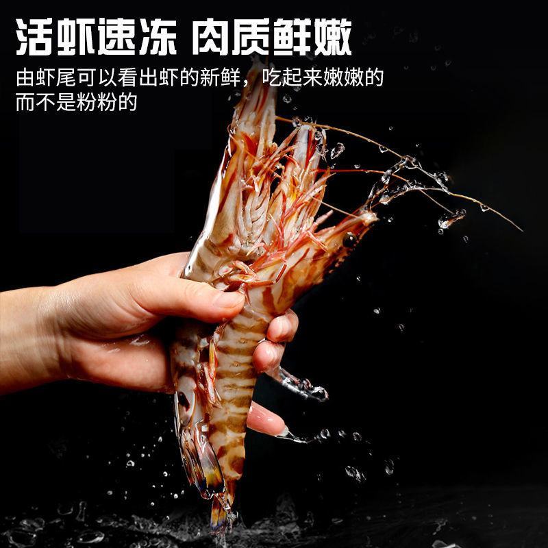 舟山竹节虾海虾新鲜九节虾斑节虾虾子大虾鲜活黑虎虾海鲜包邮