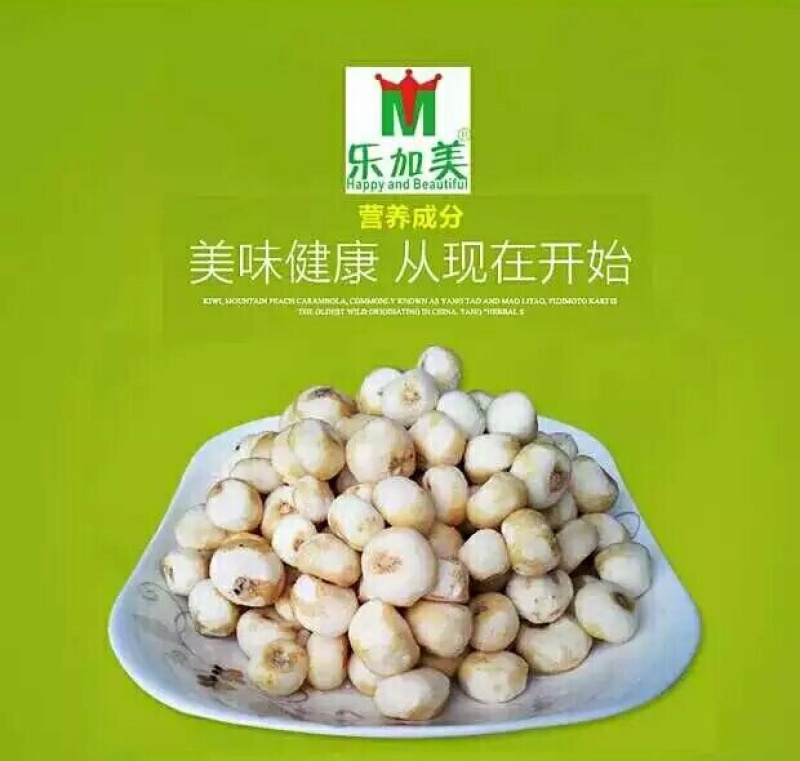 大客户2000斤起珍珠马蹄荸荠小马蹄椰子鸡汤