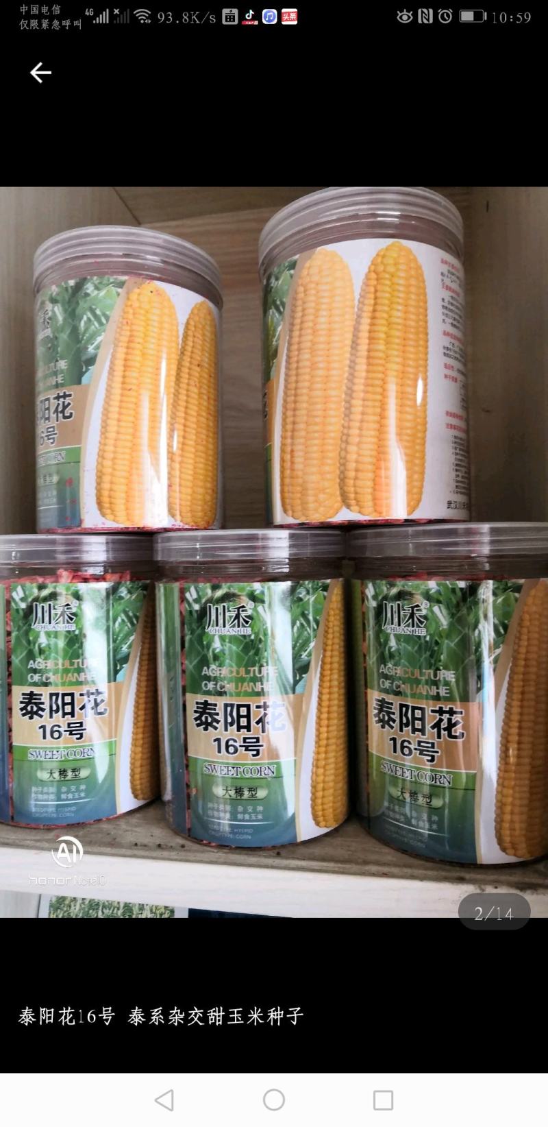 高产优质杂交种子