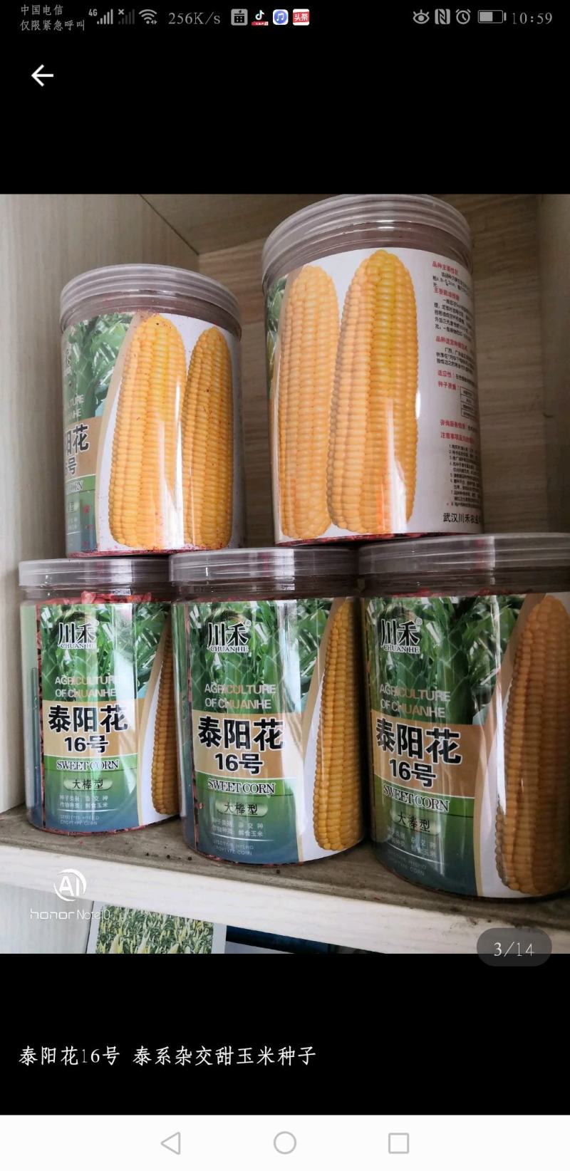 高产优质杂交种子
