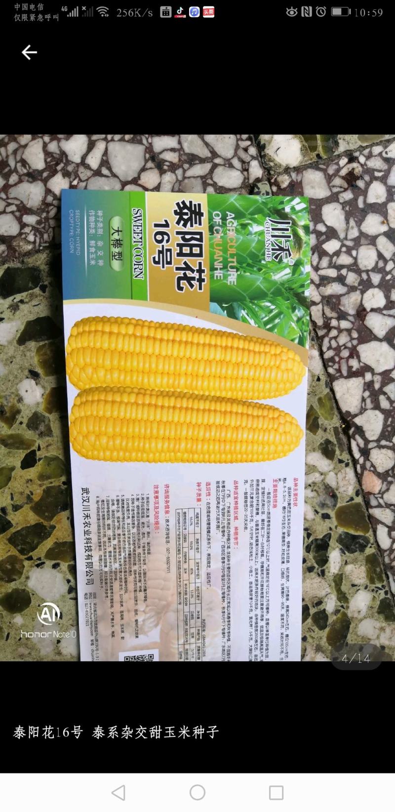 高产优质杂交种子
