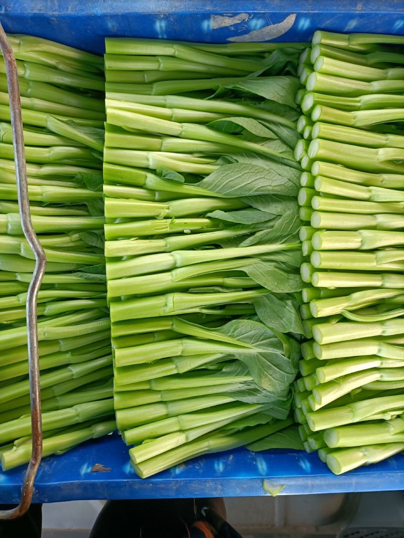 菜心底价放货