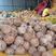 海南老椰子毛椰优质越南清补凉炖鸡汤实力供应全国发货