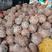 海南老椰子毛椰优质越南清补凉炖鸡汤实力供应全国发货