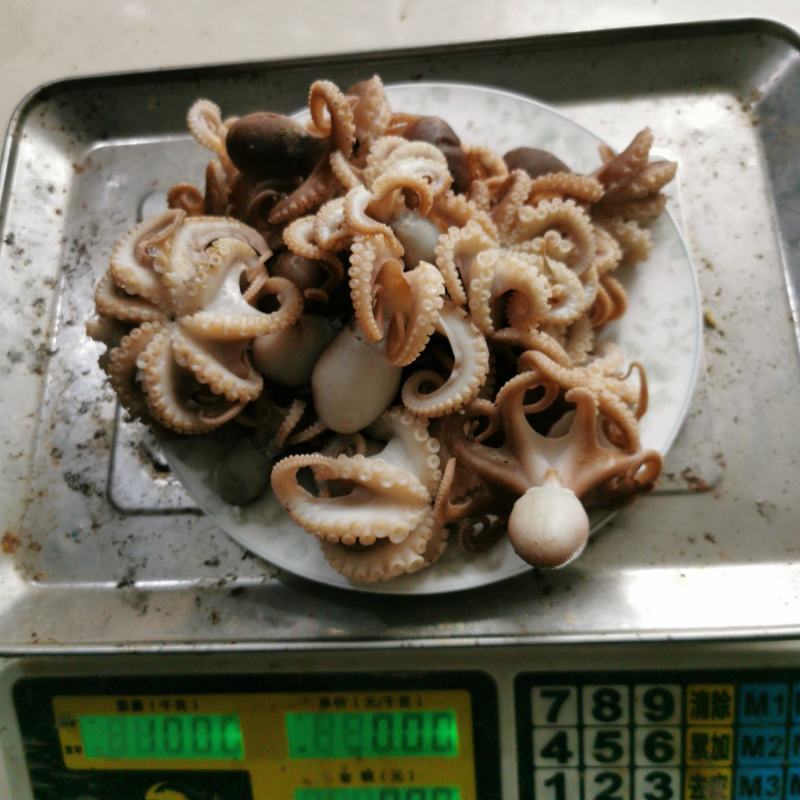 【渤海特产】熟八爪鱼章鱼短腿海捕新鲜源头货源无杂质不牙碜