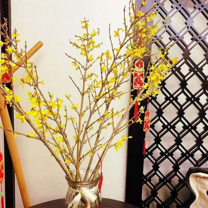(黄金万两)寸寸金干支梅插花连翘花枝遇水开花鲜花植物耐寒
