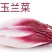 精品红玉兰菜芽球菊苣一斤也是批发价厂家直供