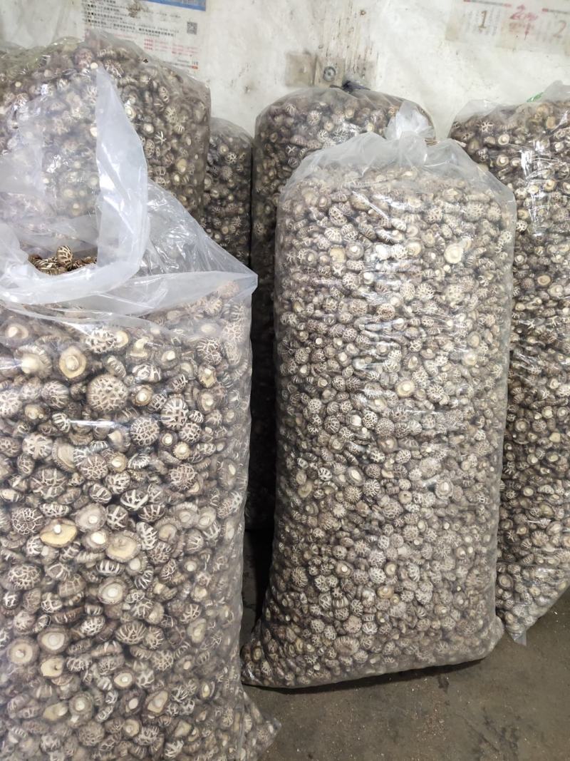卢氏花菇干香菇农家精选花菇肉厚形圆特价批发包邮