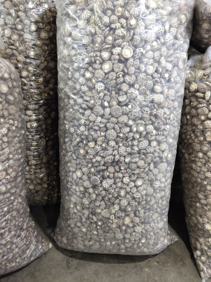 卢氏花菇干香菇农家精选花菇肉厚形圆特价批发包邮