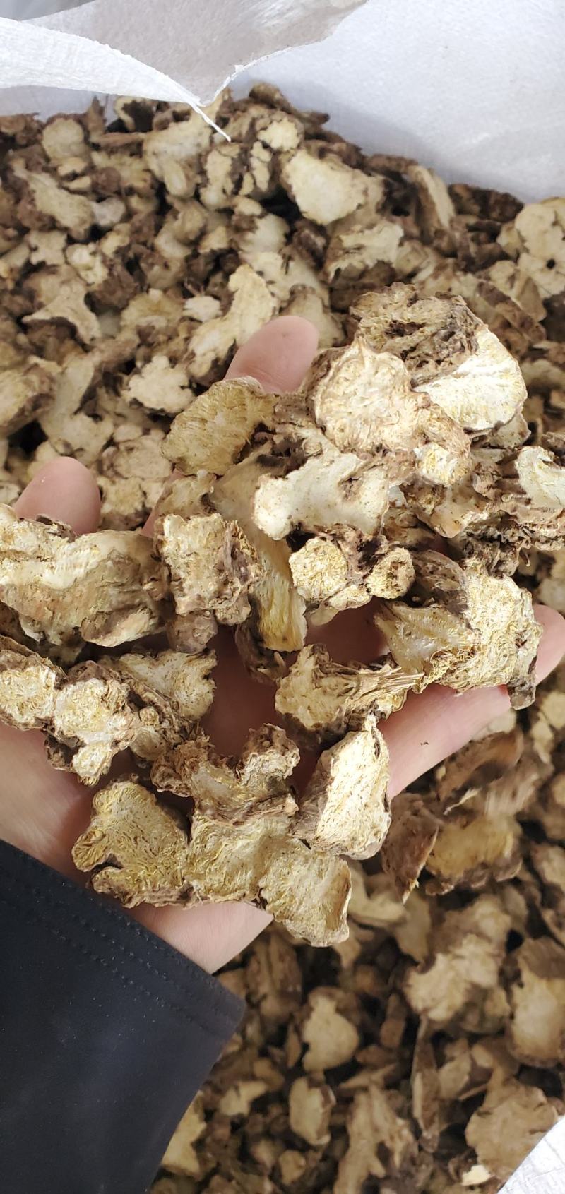 东北白术2025秋季种植白茬苍术4年苍术出口白术