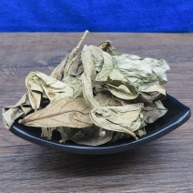 龙脷叶龙利叶龙舌叶龙脷叶龙脷叶牛耳叶