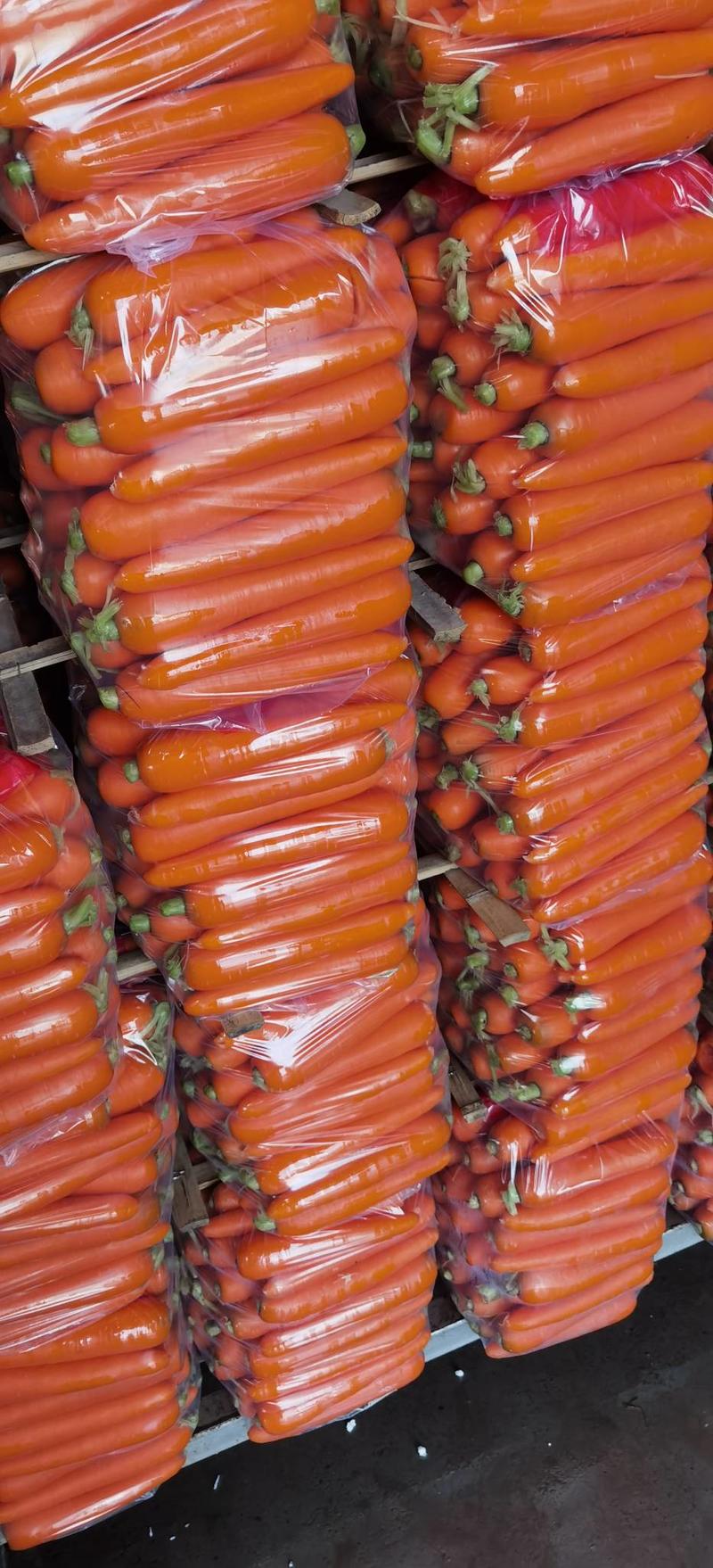 2024新鲜胡萝卜，全国发货只做精品货，电商超市