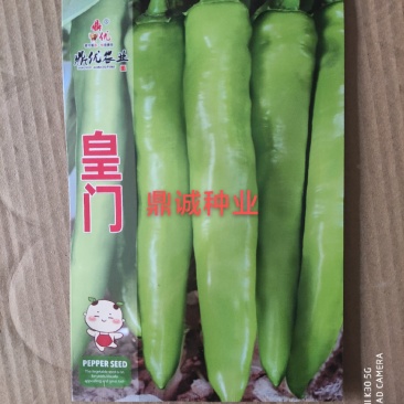 鼎优皇门黄皮椒种子长羊角形顺直中辣连续坐果能力强肉厚