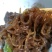 纯红薯粉丝纯手工制作，不纯不好吃包退，批发零售，优质粉丝
