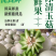 玉菇香瓜甜瓜对接电商供应链商超市场档口优质货源