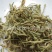 【统货金银花】@【同欢药材】中药材批发供应规格齐全