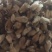 辛夷辛夷花批发辛夷花质量保证量大从优