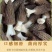 羊肚菌鲜货基地直发
