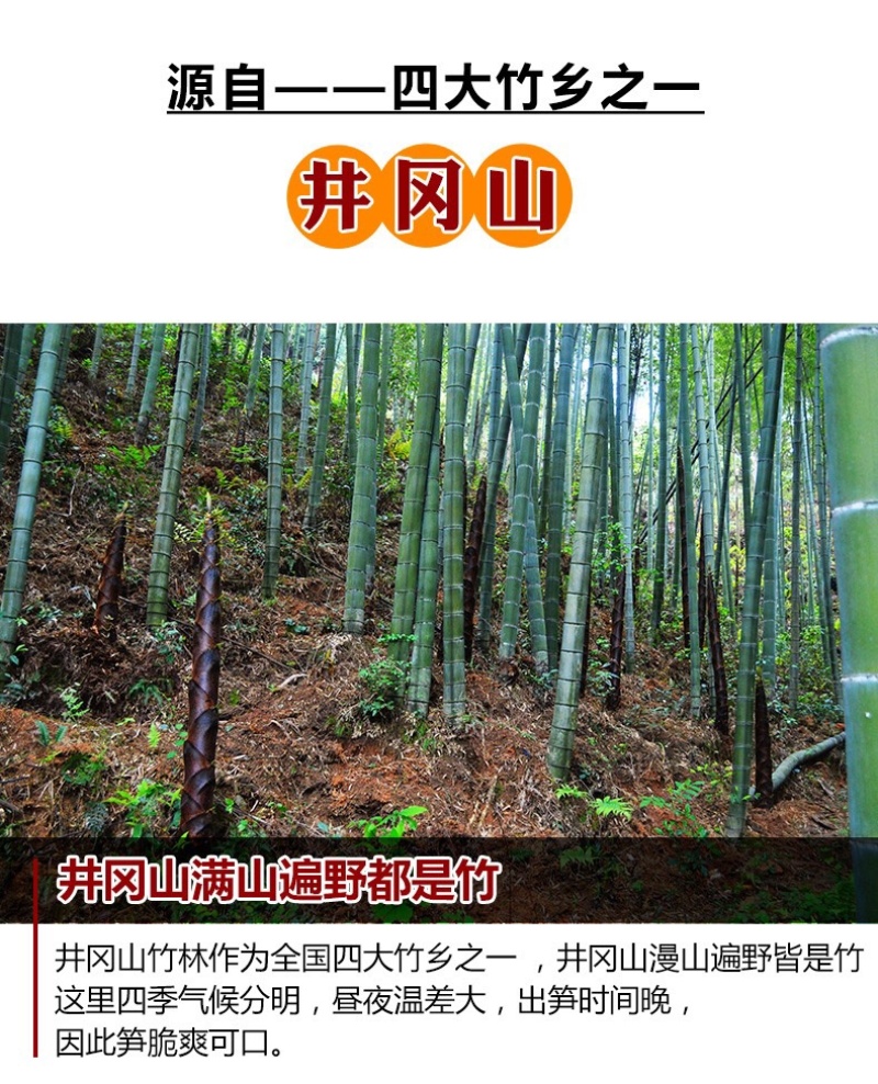 江西笋干3-5寸笋干干货农家自制笋尖笋干优品