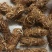 ys五指毛桃，足干无硫，小扎把，切段，需要提前预定。