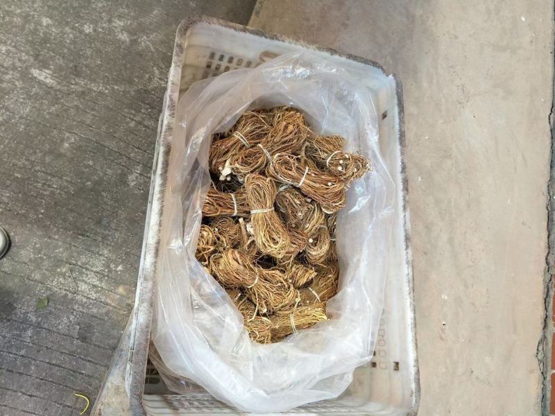 ys五指毛桃，足干无硫，小扎把，切段，需要提前预定。