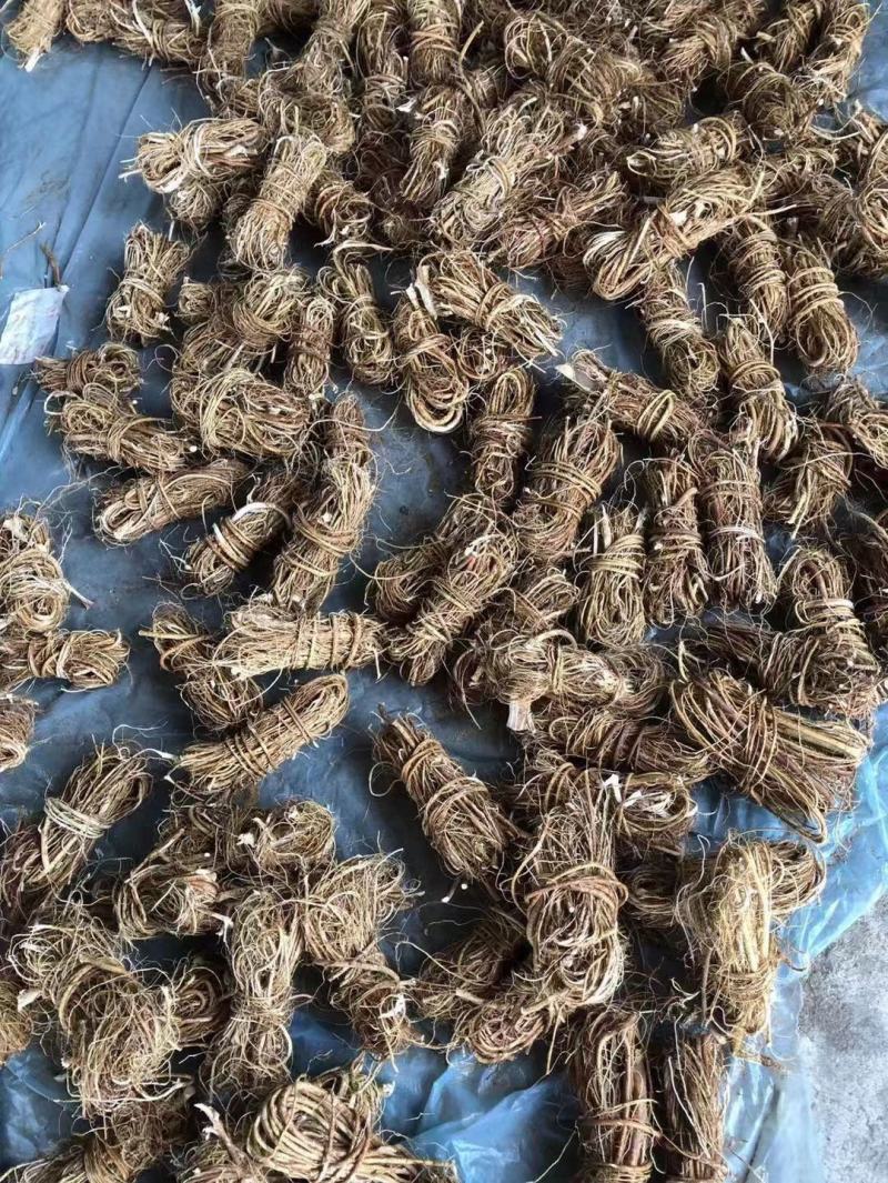 ys五指毛桃，足干无硫，小扎把，切段，需要提前预定。