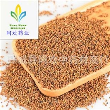 【水洗内蒙菟丝子】@【同欢药材】中药材批发供应