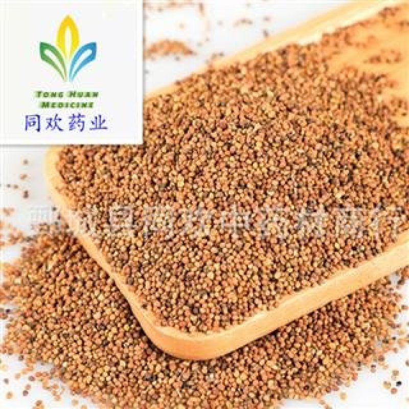 【水洗内蒙菟丝子】@【同欢药材】中药材批发供应