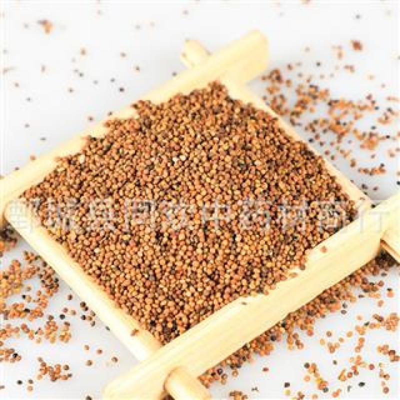 【水洗内蒙菟丝子】@【同欢药材】中药材批发供应