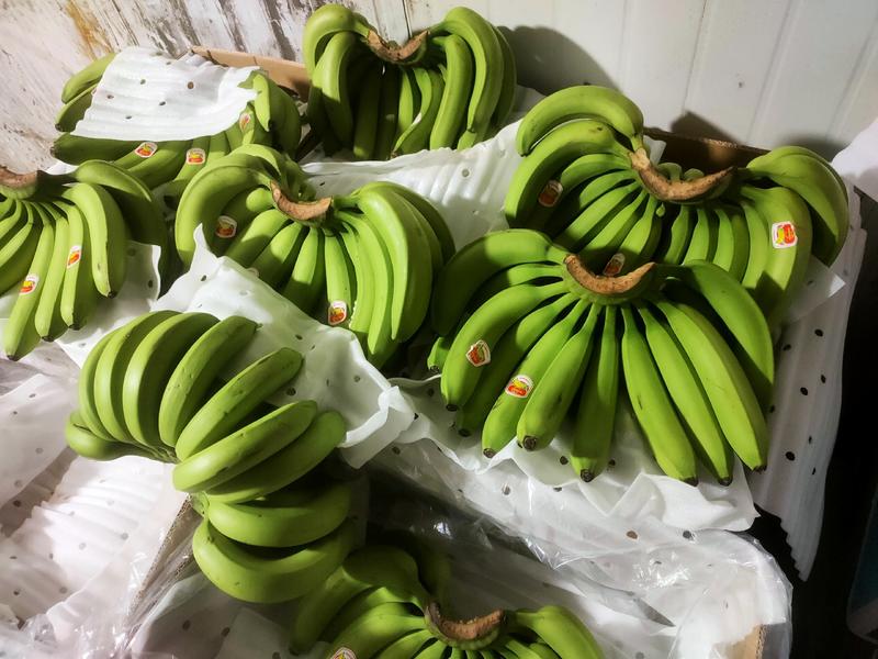 进口菲律宾特价香蕉常年供应精品香蕉实力供应