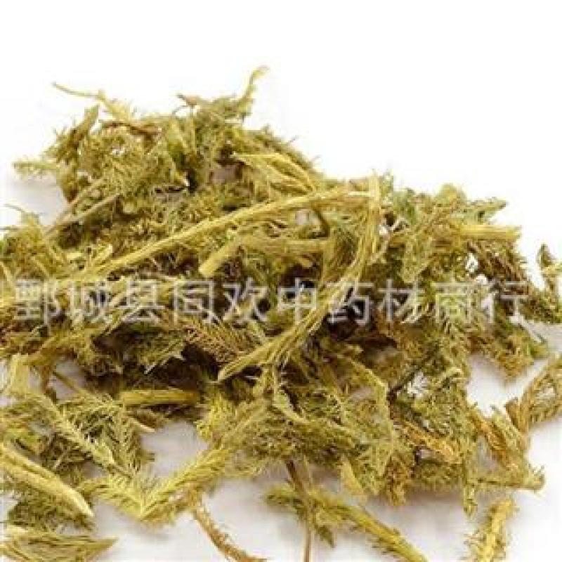 【伸筋草】@【同欢药材】中药材批发供应规格齐全