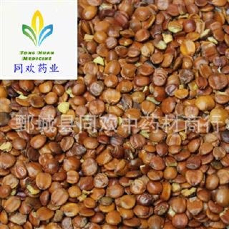 【进口生酸枣仁】@【同欢药材】中药材批发供应