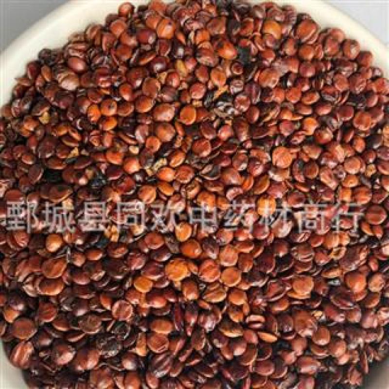 【进口炒枣仁炒酸枣仁】@【同欢药材】中药材批发供应