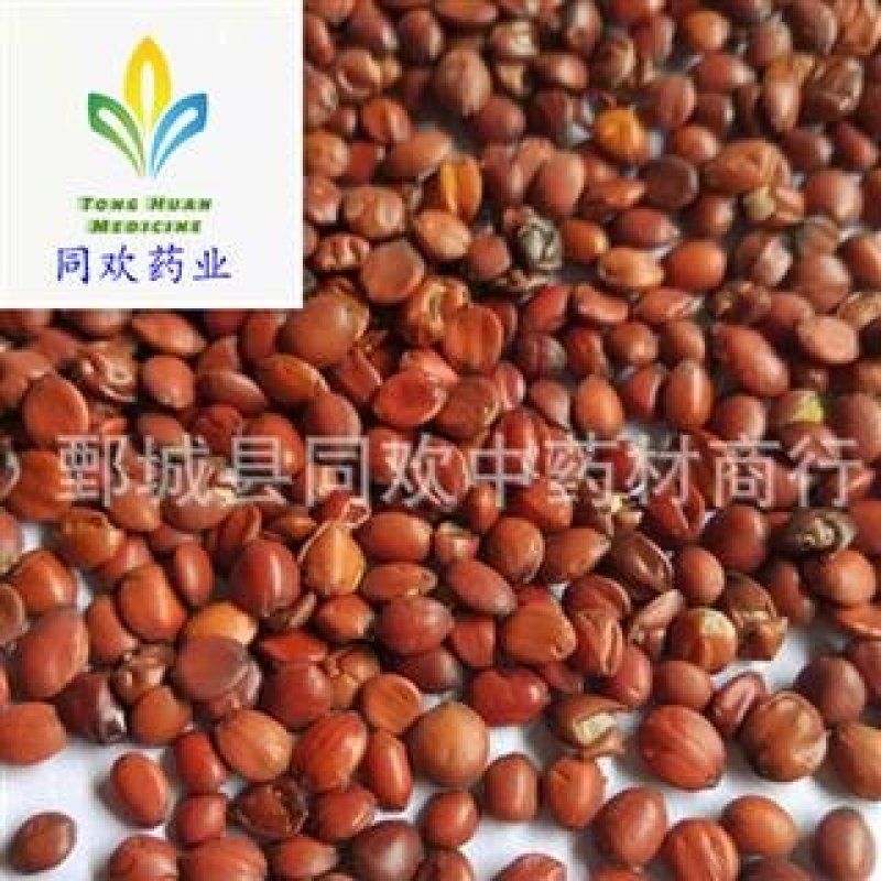 【国产酸枣仁】@【同欢药材】中药材批发供应