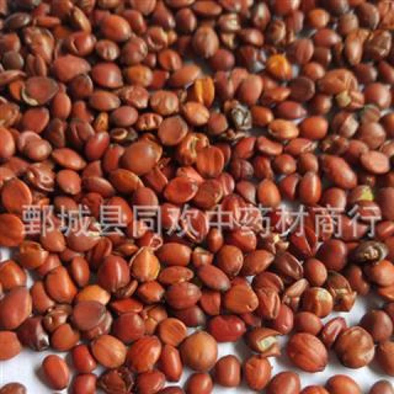 【国产酸枣仁】@【同欢药材】中药材批发供应
