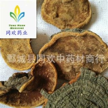 【槐耳】@【同欢药材】中药材批发供应规格齐全
